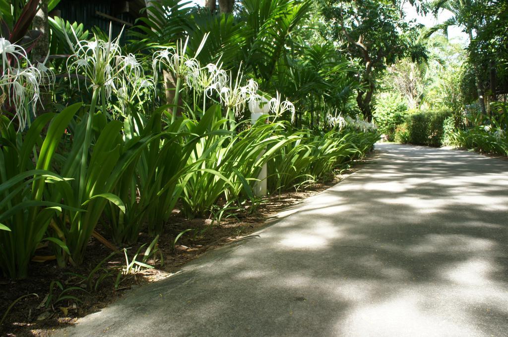 Palm Village Rawai Экстерьер фото