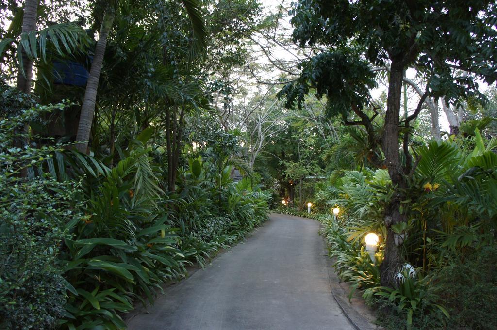 Palm Village Rawai Экстерьер фото