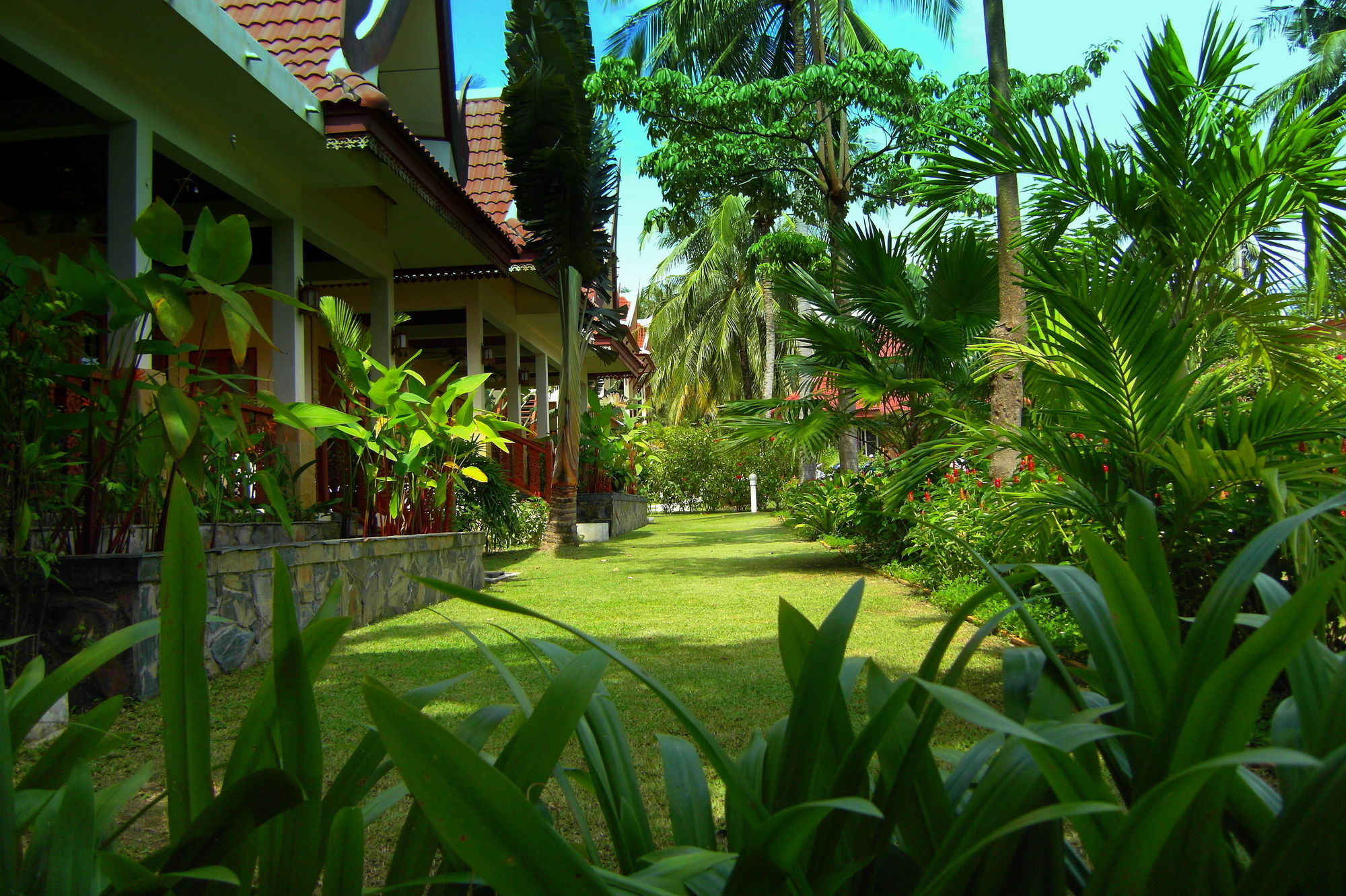 Palm Village Rawai Экстерьер фото